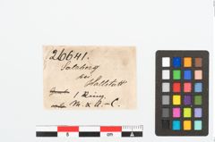 Etikett zu Bronzekopfschmuckring (NHMW-PRAE-026641)